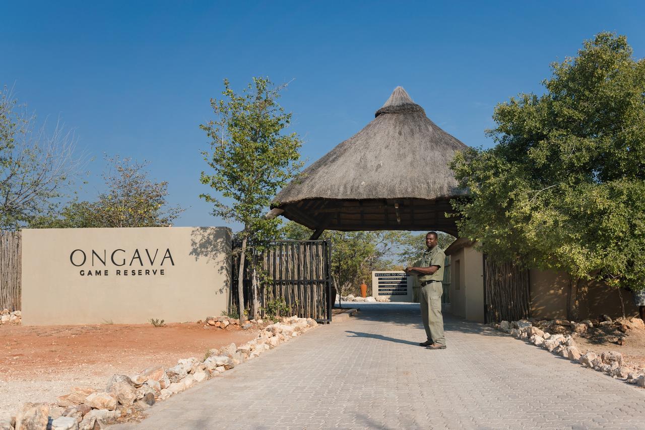 Ongava Tented Camp Okaukuejo Dış mekan fotoğraf