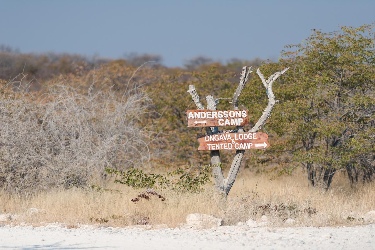 Ongava Tented Camp Okaukuejo Dış mekan fotoğraf